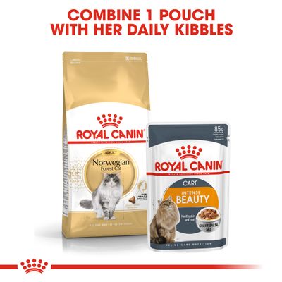 Royal Canin Norwegische Waldkatze (Erwachsen)
