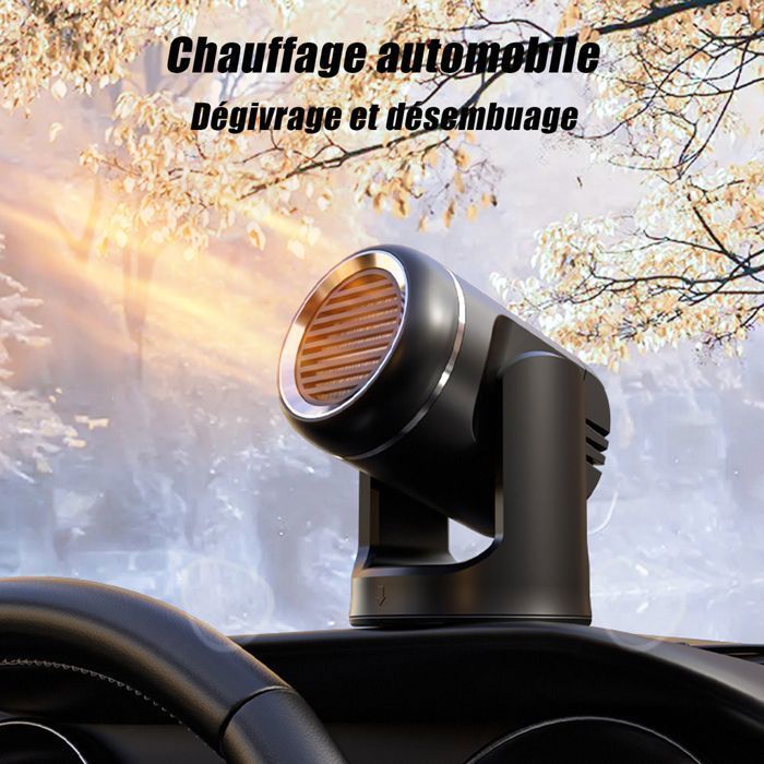 PASSIONOVA Riscaldatore per auto 2 in 1 da 12 V 120 W: doppio riscaldatore per auto, vento naturale, aria calda, sbrinamento rapido