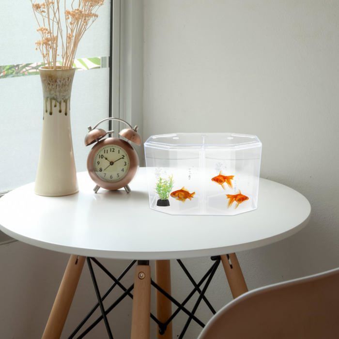 Miniatuur tafelaquarium: Klein betta-aquarium met verwijderbare scheidingswand voor betta's en goudvissen - voor beginnende kinderen