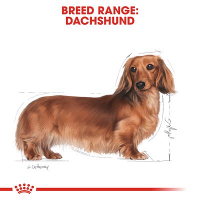 Royal Canin Dachshund Loaf