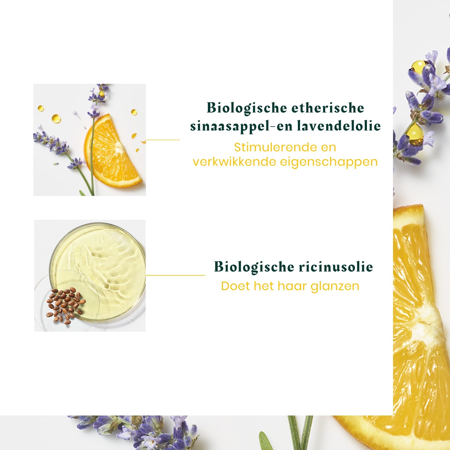 René Furterer tretman za kosu Complexe5 Head Spa Energizirajući koncentrat za snagu i vitalnost - 50 ml