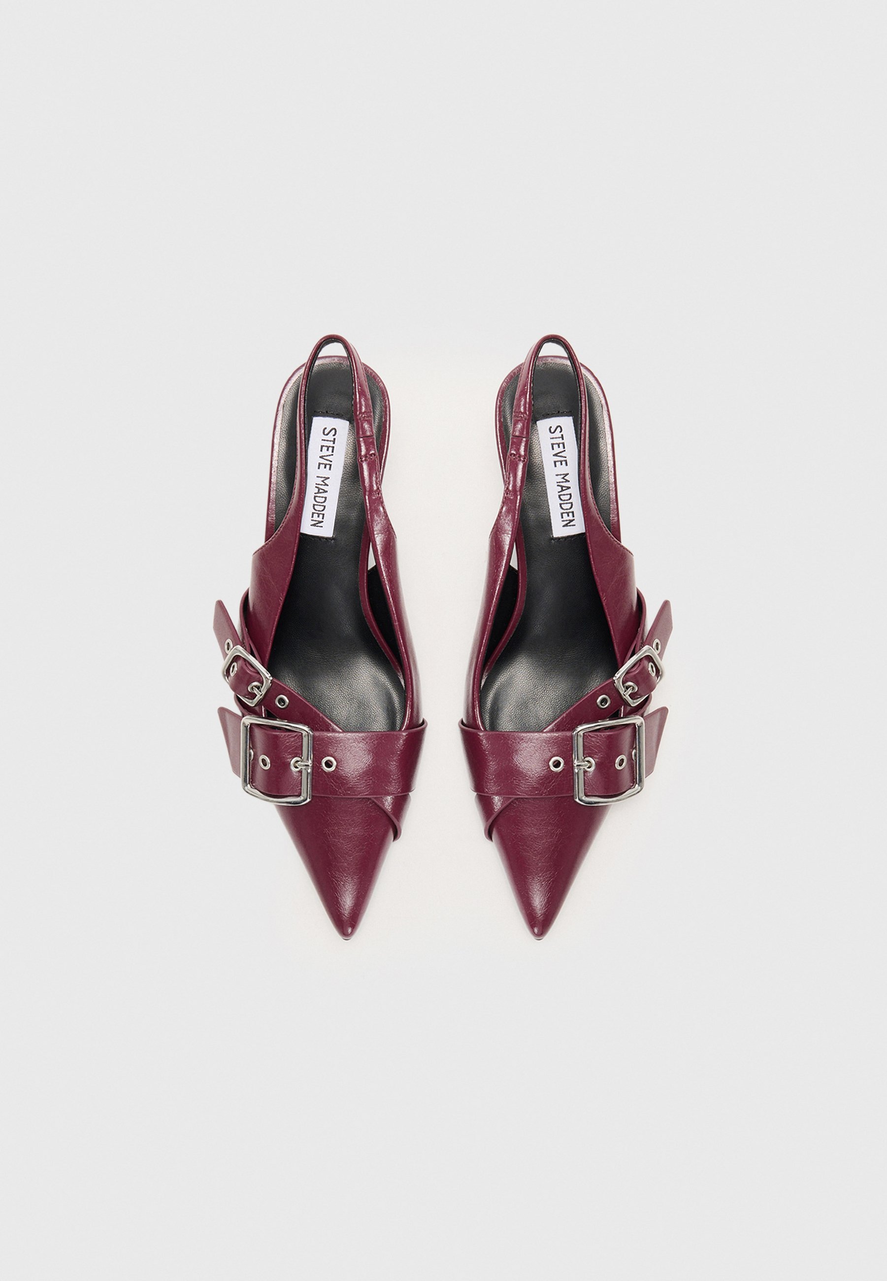 Steve Madden LEZLEY - Klassieke hakken - donker kersenrood