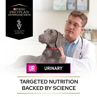 PURINA PRO PLAN Veterinärdiäten UR Harnwegserkrankungen