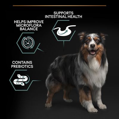 PURINA PRO PLAN Medium Adult Lamb & Rice Sensitive Digestive