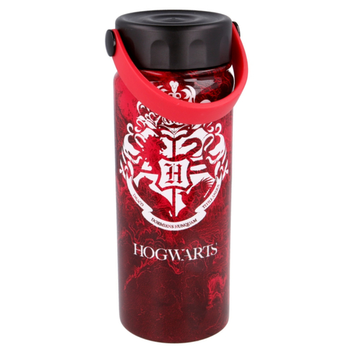 Termo Harry Potter 66088