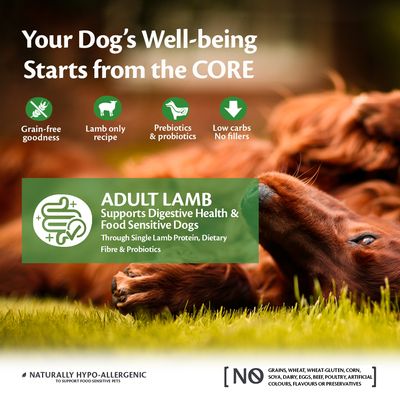 Croquettes Wellness Core pour chiens adultes de toutes races à l'agneau