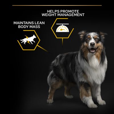 PURINA PRO PLAN Alle Größen Erwachsene Leicht/Sterilisiert