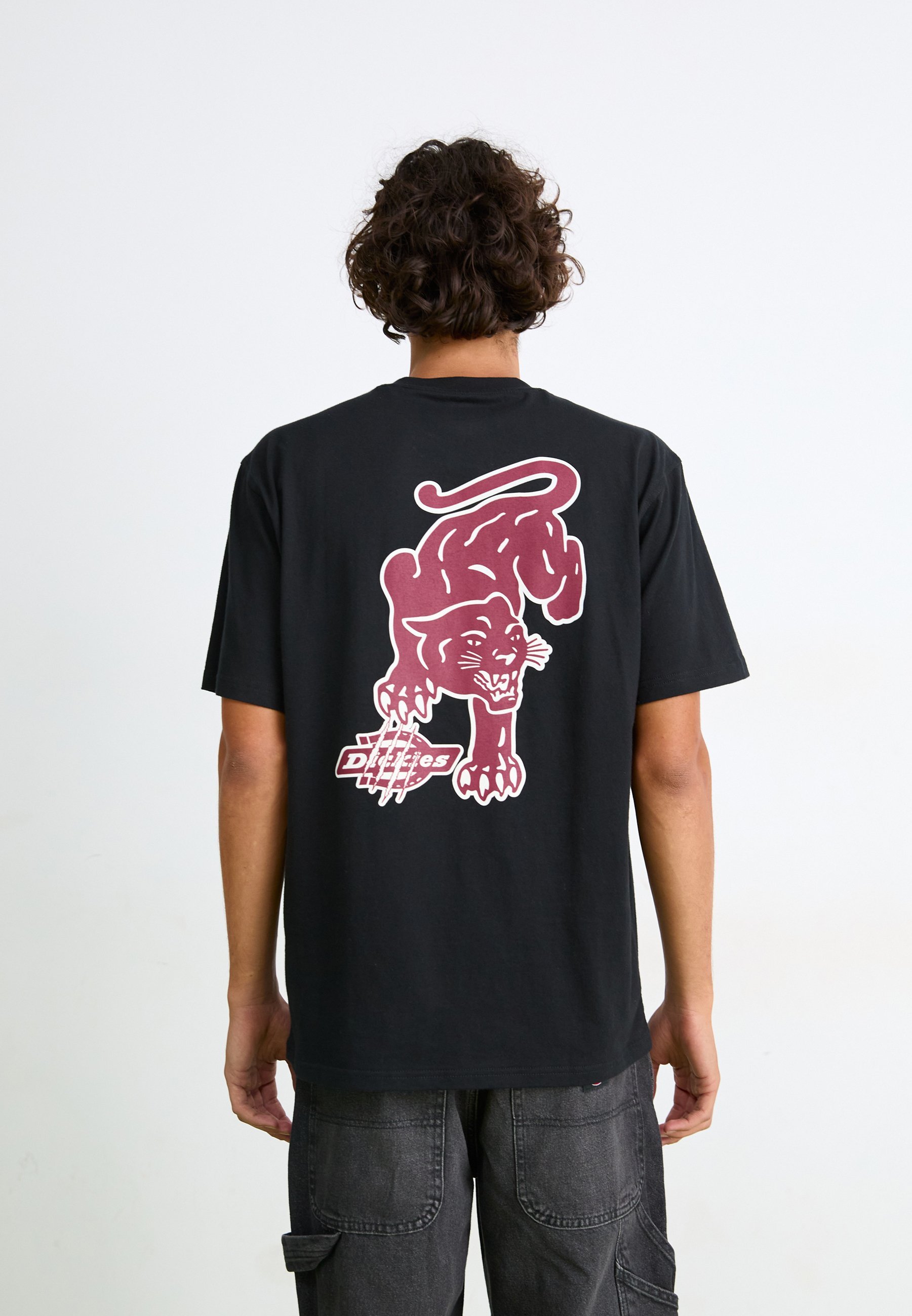 T-shirt stampate Dickies