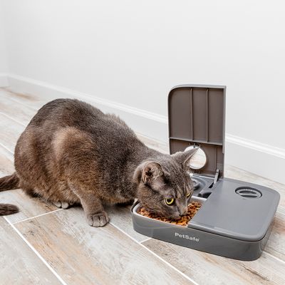 Αυτόματη ταΐστρα κατοικίδιων PetSafe® 2 γευμάτων