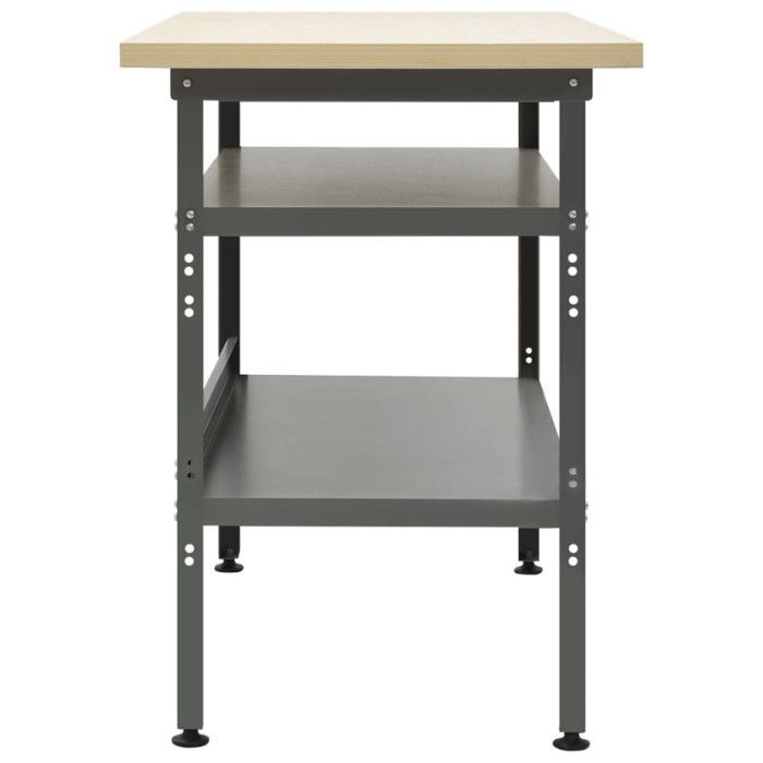 Banco de trabajo vidaXL Gris 120x60x85 cm Acero 145344