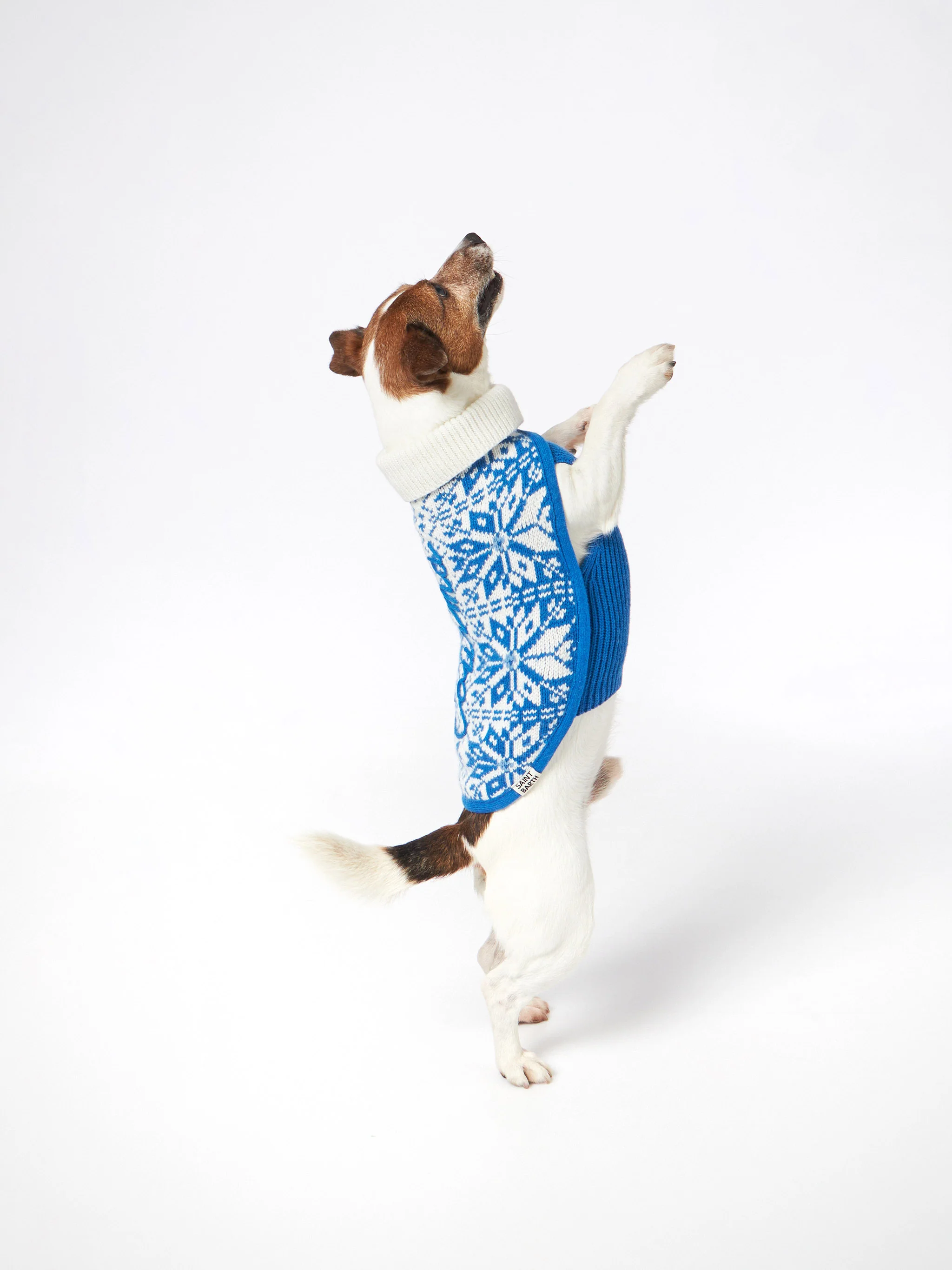 Trui voor honden met Scandinavische print