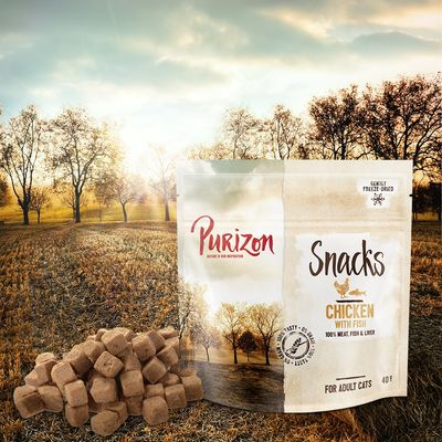 Purizon Katzensnacks – Getreidefrei mit Huhn und Fisch