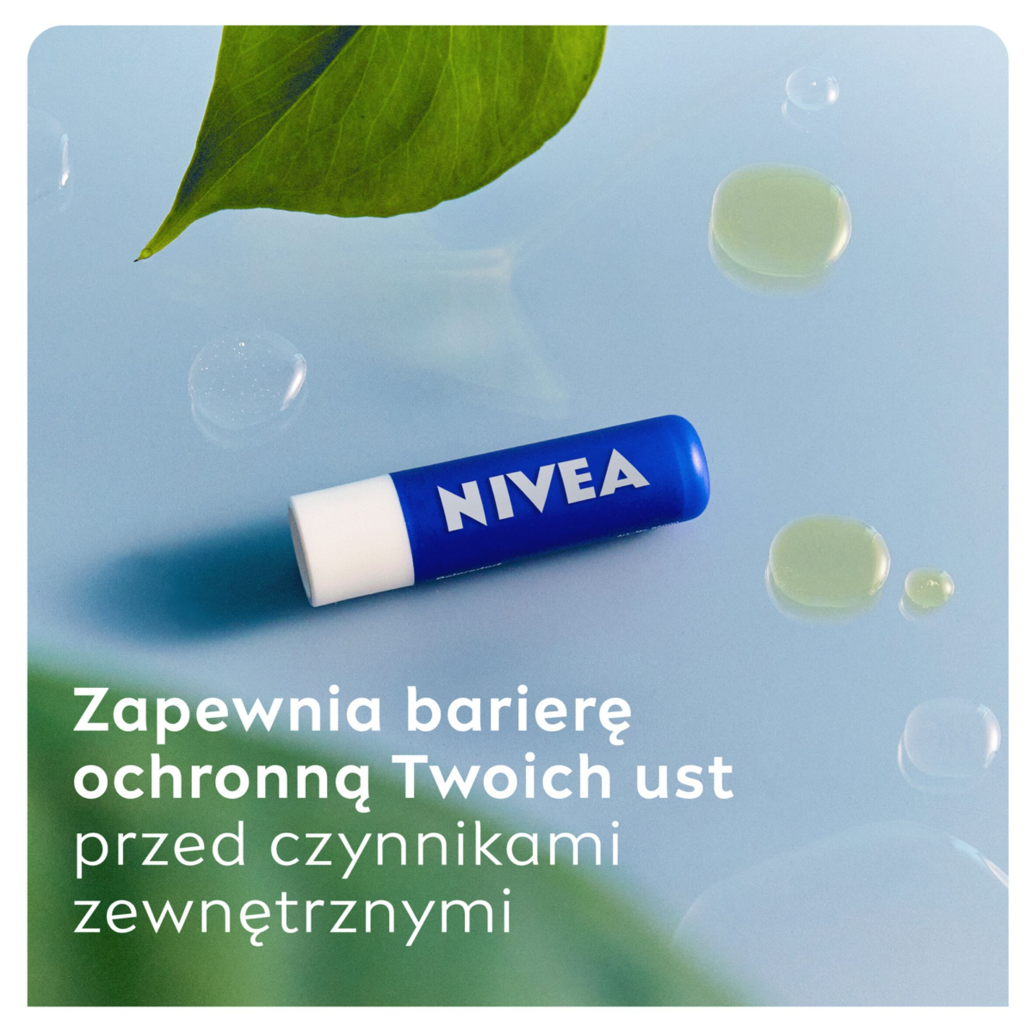 Νιβέα