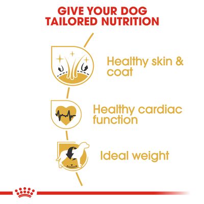Royal Canin Golden Retriever Ενηλίκων
