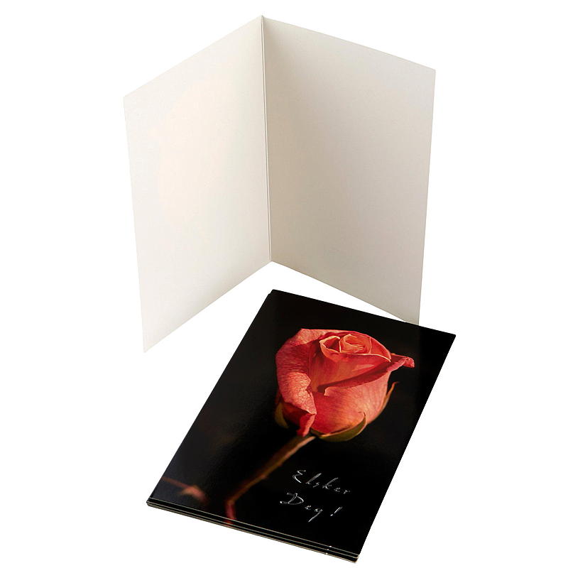 Tarjeta con una rosa roja