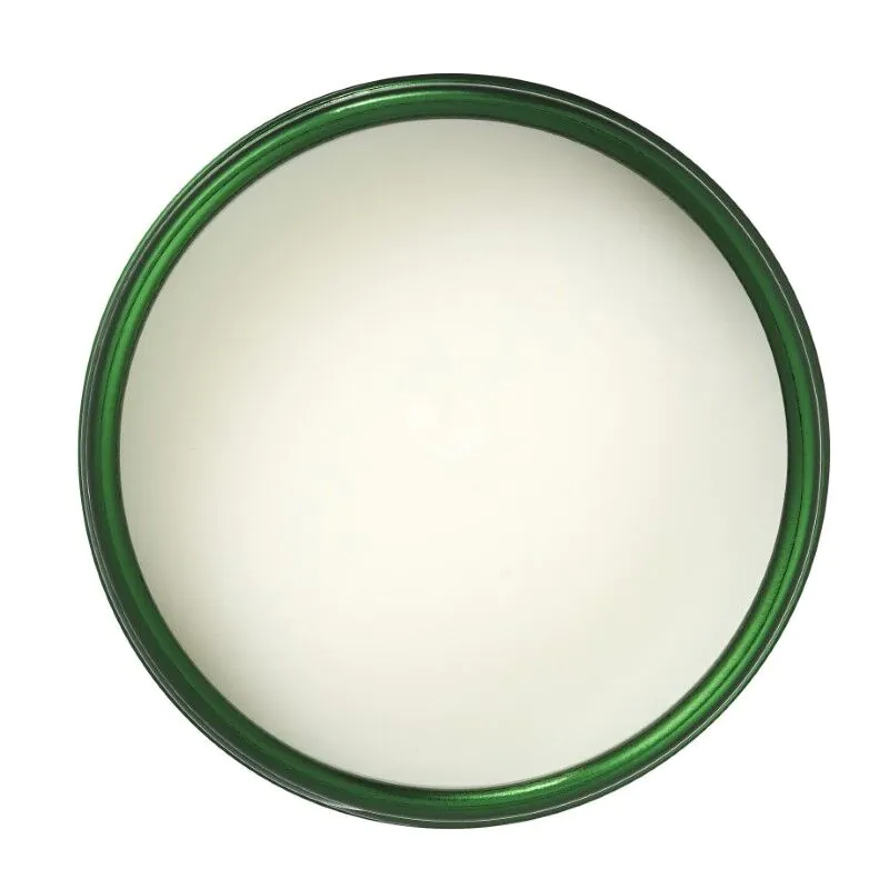 Skinfood Avocado & Olive Lip Balm 12g