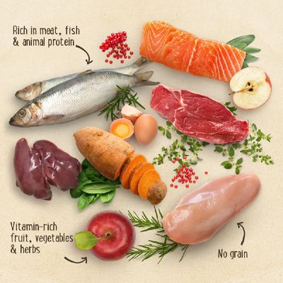 Purizon Black Angus -naudanliha ja kalkkuna - viljaton