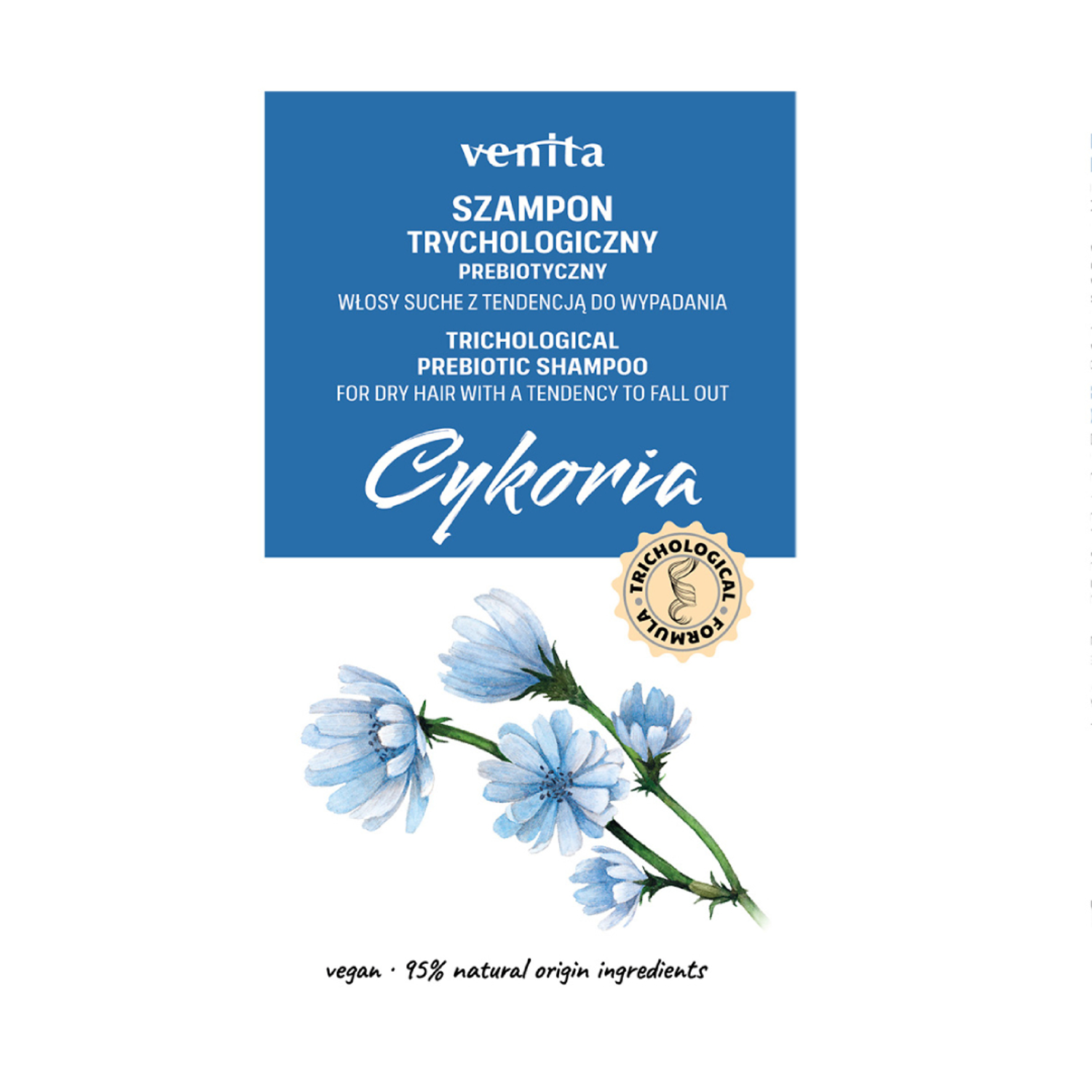 Venita Chicory