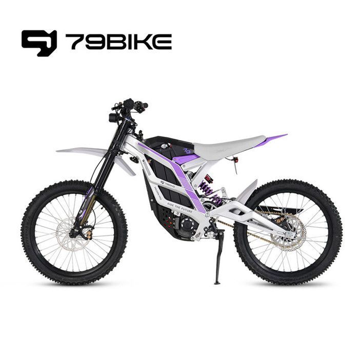 79Bike - Bicicleta eléctrica FALCON PRO, neumáticos todoterreno de 19