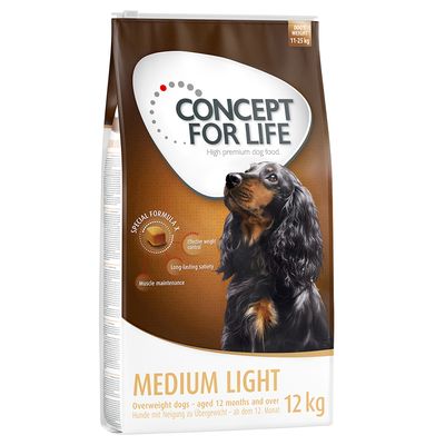 Concept pour la lumière moyenne de Life