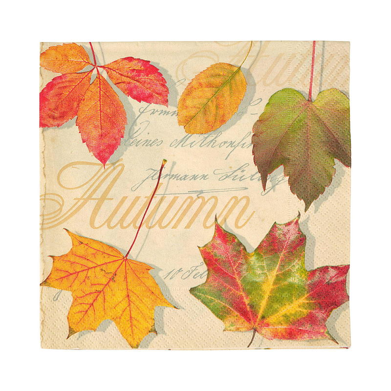 Tovaglioli ecologici Vie, confezione da 20 pezzi, 33x33 cm, autunno/inverno