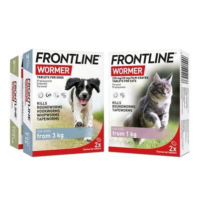 Comprimés vermifuges FRONTLINE® pour chats