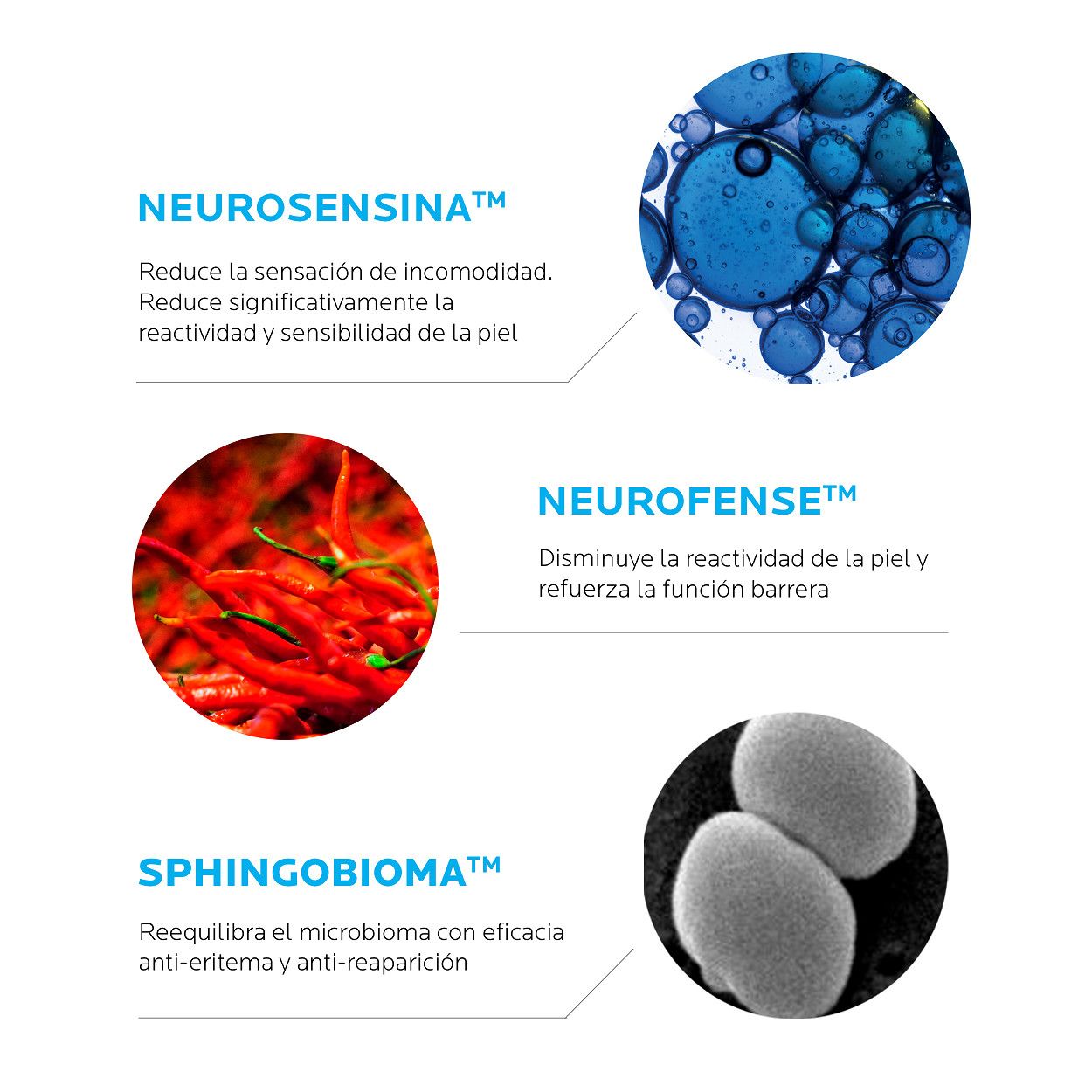 Toleriane Dermallergo Fluid Parapharmacy kozmetika za lice