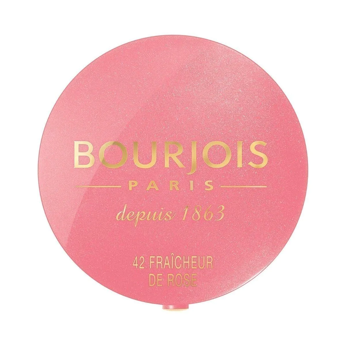 Bourjois Pastel Joues 95 Rose De Jaspe Róż do policzków