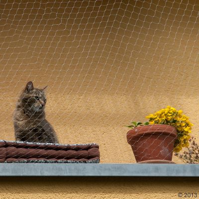 Katzensicherheitsnetz - Transparent
