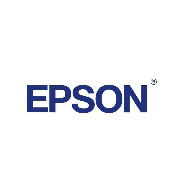 EPSON 603 cyaan inktcartridge - Starfish (C13T03U24010)