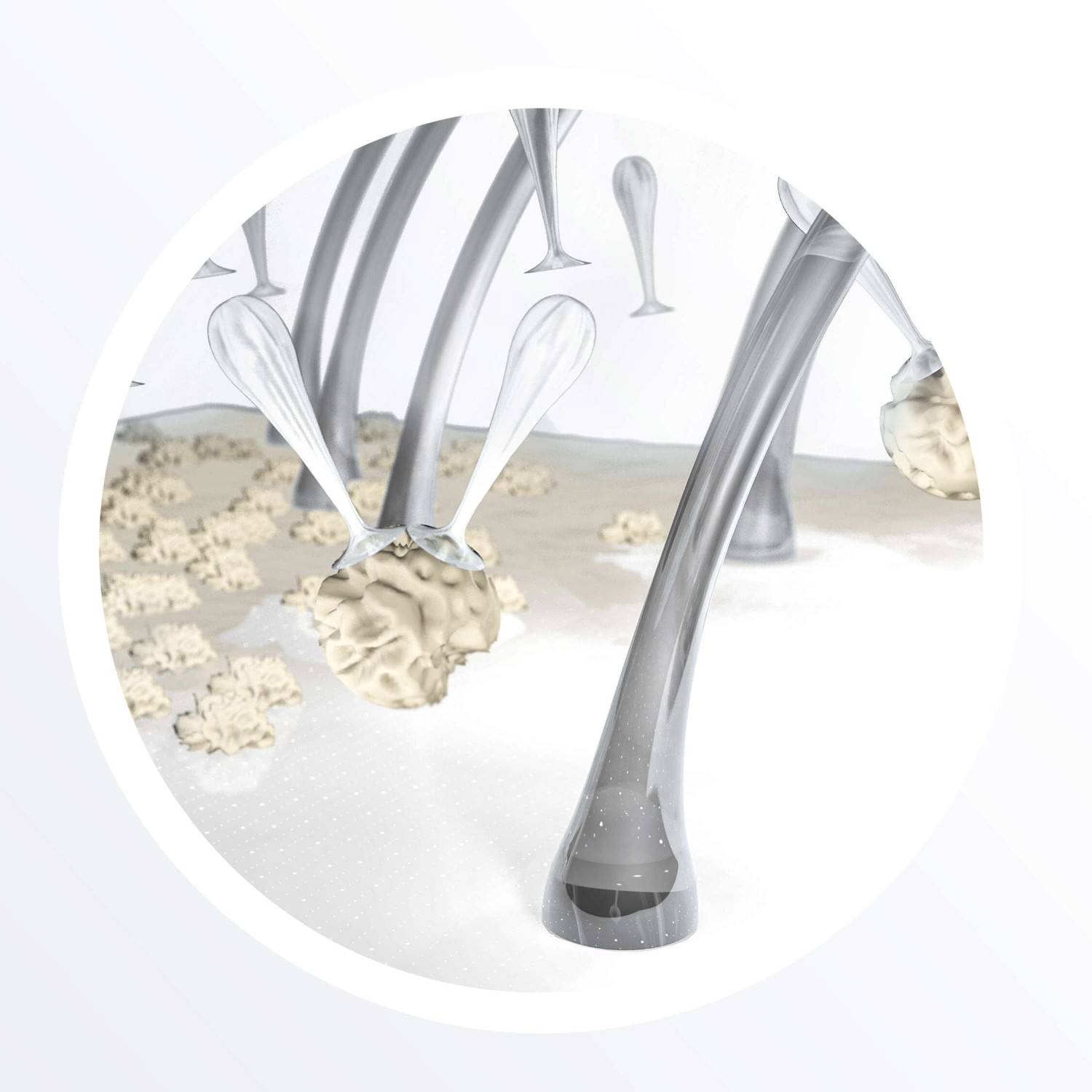 Nioxin System 3 Cleanser