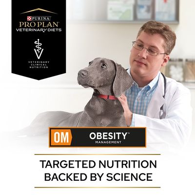 PURINA PRO PLAN Veterinärdiäten OM Adipositasmanagement