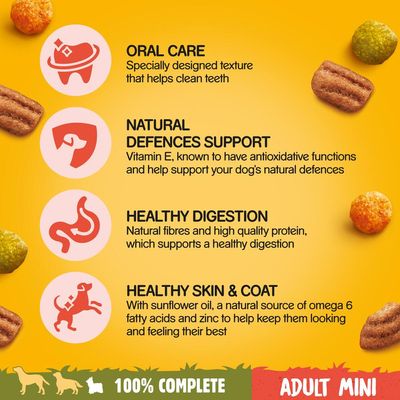 Reinrassiges, ausgewachsenes Kleinrassen-Hühnchen mit Gemüse