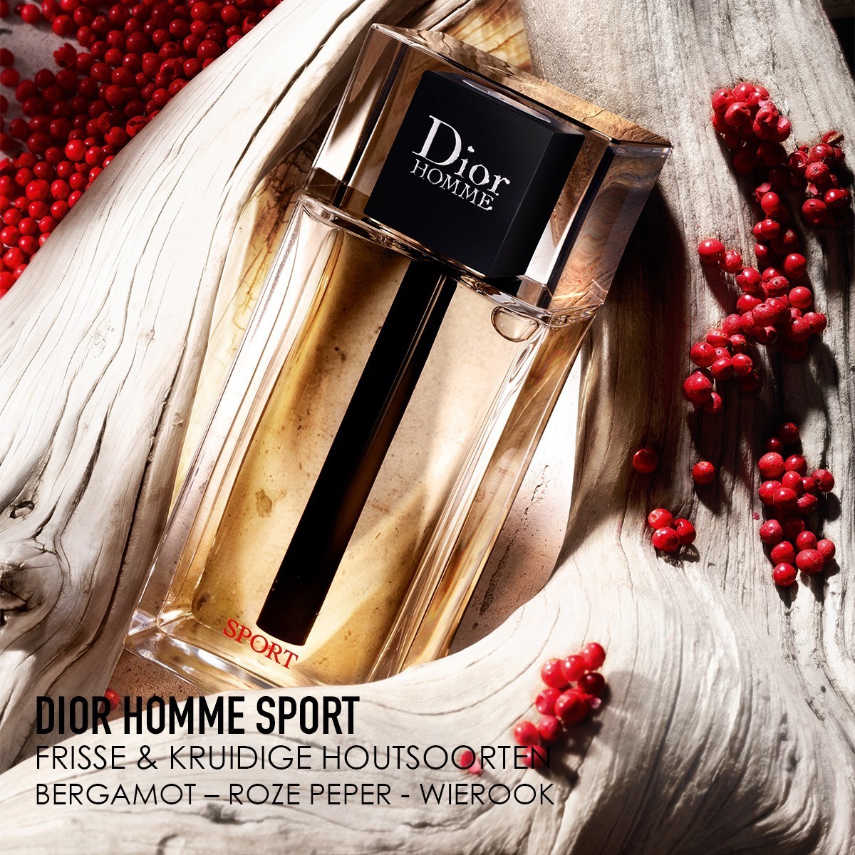 DIOR tualetinis vanduo Dior Homme Sport - 75 ml