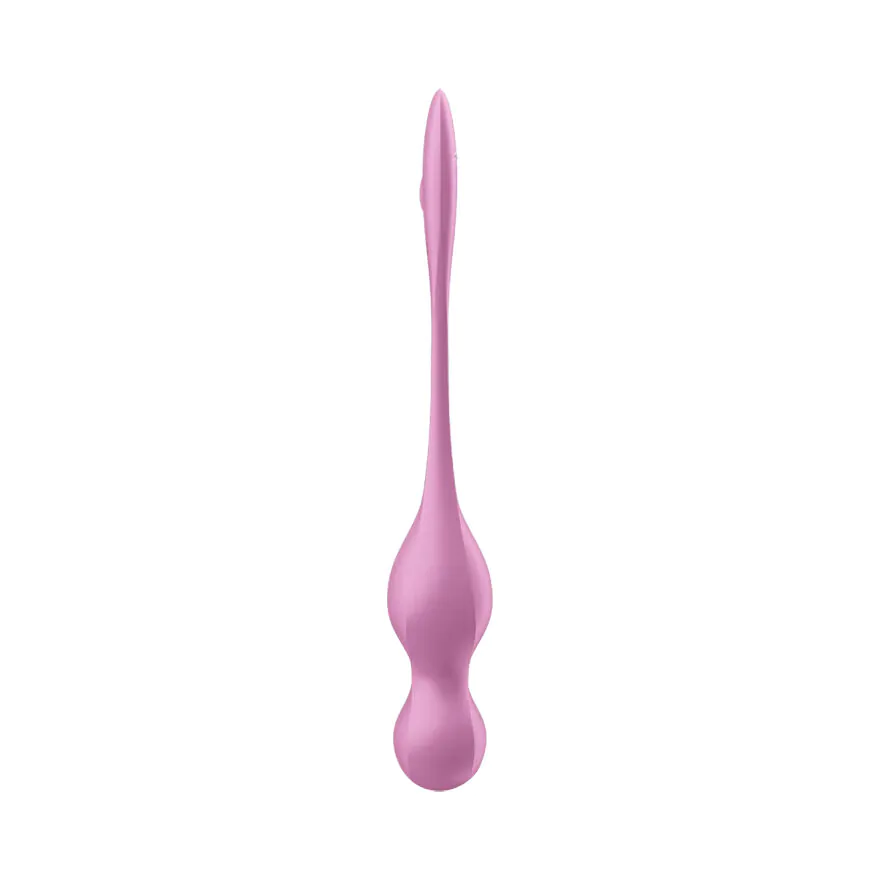 Satisfyer Love Birds 1 connect app