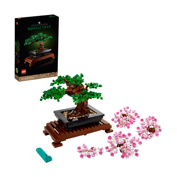 Icoane Bonsai Baum 10281