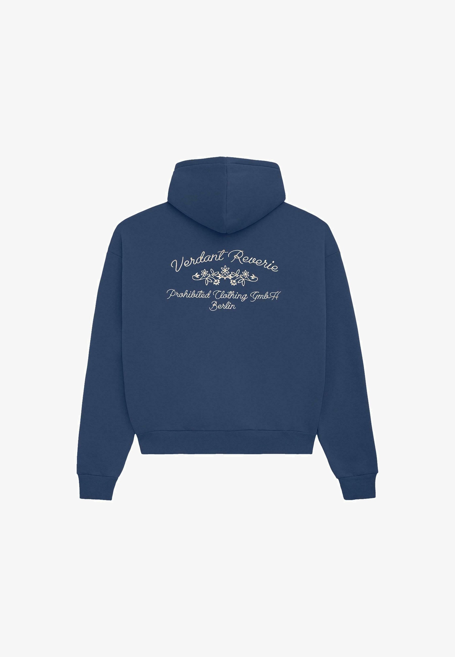 VERBODEN GROENE DROOM - Hoodie - blauw