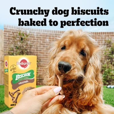 Pedigree Biscrok Gravy Bones