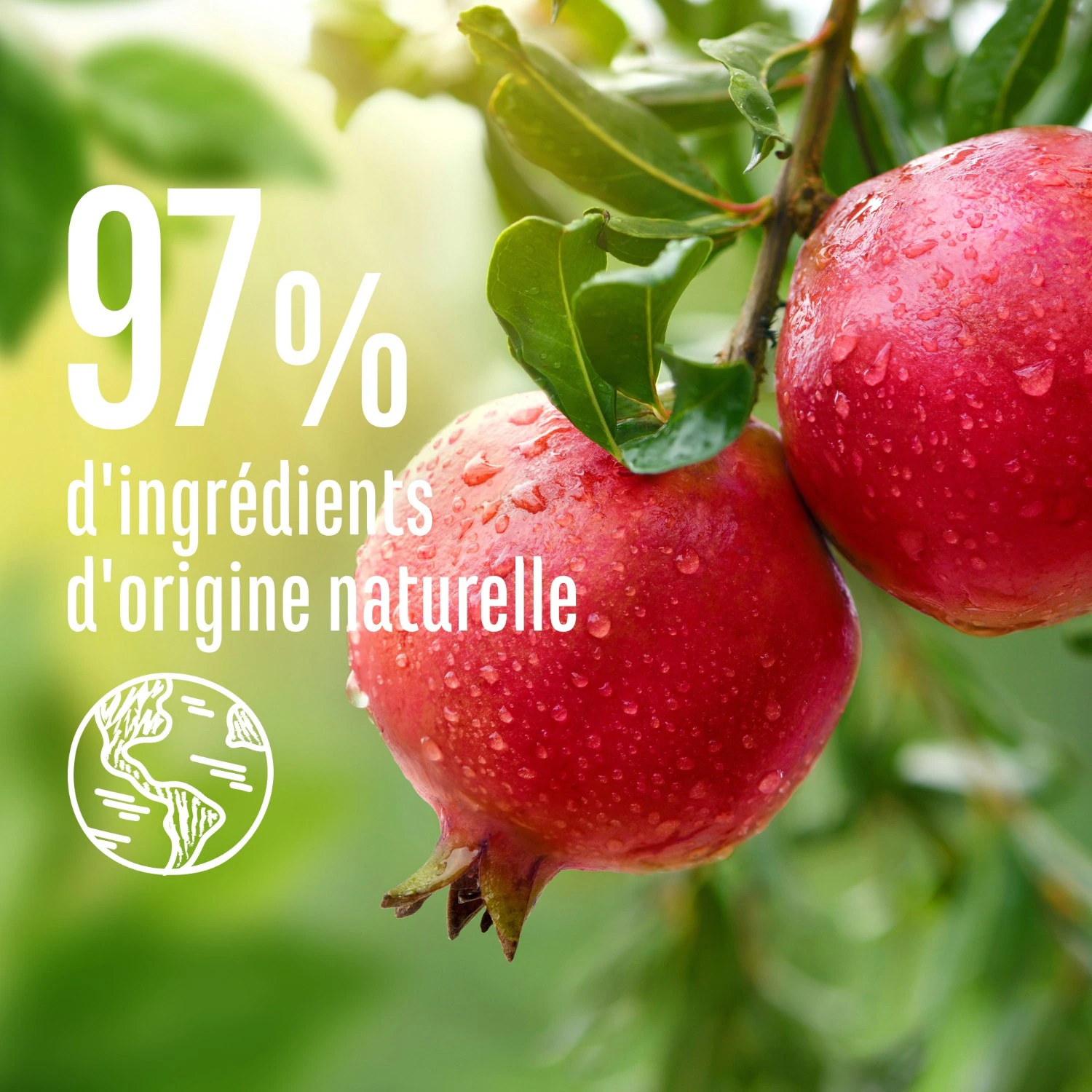 Le Petit Marseillais Shampooing Infusion Couleur coquelicot et grenade Bio - Le flacon de