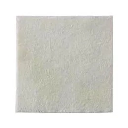 Pansements Biatain à l'alginate Ag pour plaies infectées et profondes, 10 x 10 cm, 10 unités