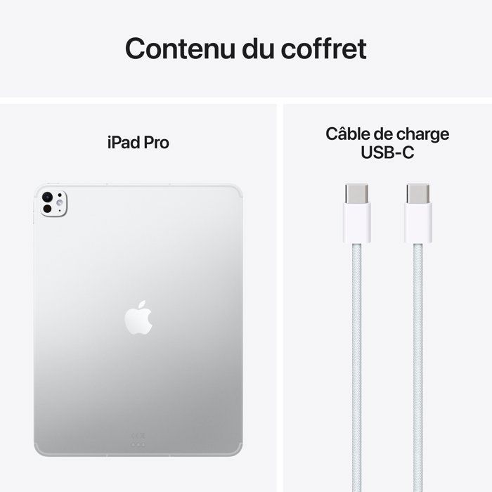 APPLE - iPad Pro M5 - 13