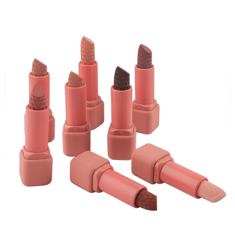 Rouge à lèvres nude mat velouté waterproof longue tenue, pigmenté, idéal pour Halloween. Maquillage de luxe pour les lèvres. Marque privée. Cosmétiques. Logo OEM.