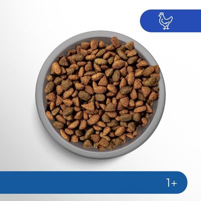 Perfect Fit Indoor 1+ Rico em Frango