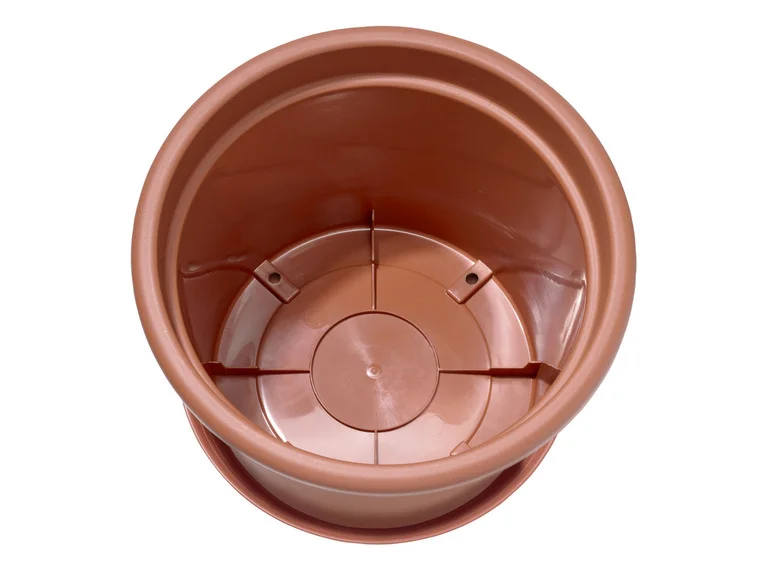 PARKSIDE® Blomsterpotte med sausplanter, 28 cm