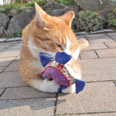 Brinquedo para gatos Aumüller em formato de coruja patchwork com valeriana.