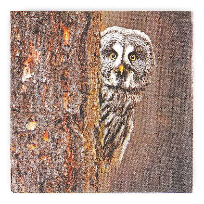 Vie Eco Servietter 20-pak 33x33 cm
