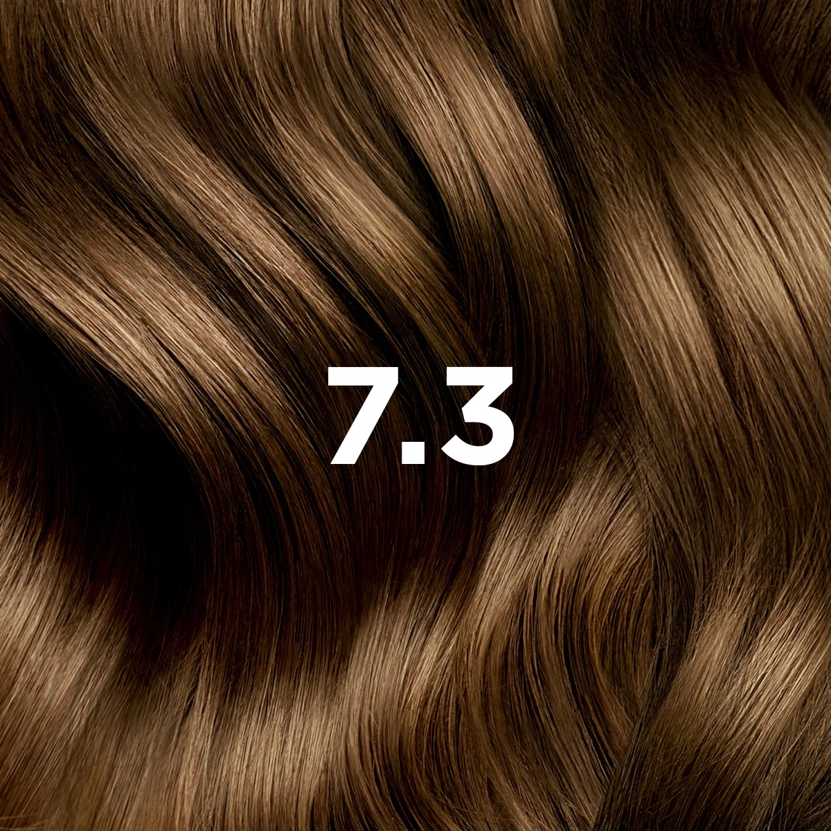 PHYTO Phytocolor 7.3 Blond doré, coloration permanente sans ammoniaque, couverture à 100 % des cheveux blancs