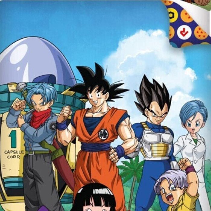 Dragon Ball Z – Manga-Bettwäscheset für Kinder, Bettbezug 140 x 200 cm, ein Kissenbezug 65 x 65 cm