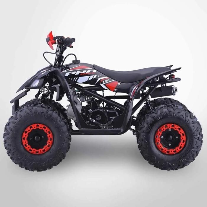 Quad infantil de 125 cm³ PROBIKE 125-R / Rojo