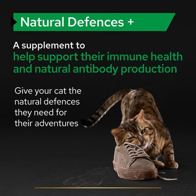 Purina Pro Plan Cat Natural Defences Συμπλήρωμα σε Σκόνη